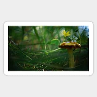 Mushroom with TIny Flowers Sticker